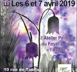 expo 2019 Doué en Anjou